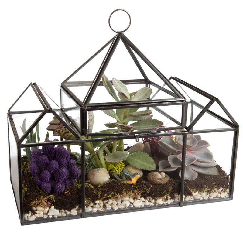 DECO D'Eco Glass Castle Plant Terrarium (10x4.5x9) - Tabletop & Hanging Black Geometric Planter - Succulents, Air Plants, Moss - Summer Home, Garden Office & Wedding Botanical Decor - Gift for Plant Lovers - Image 4